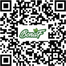 QR code Sumupstore